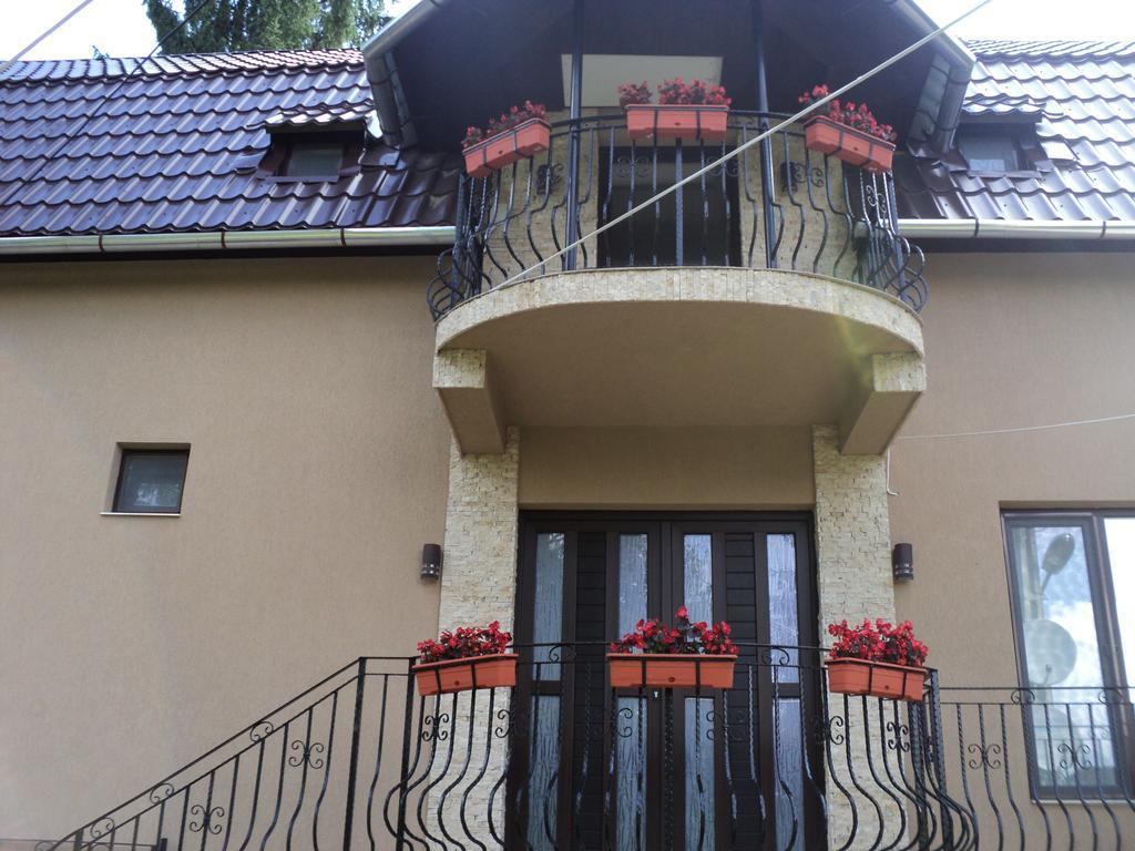 Cabana Suvenirurilor Scarisoara  Luaran gambar